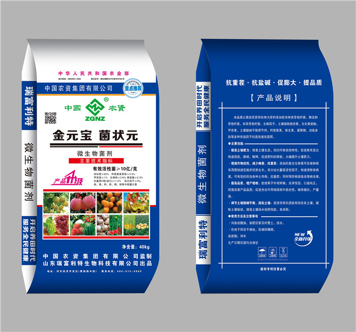 金元宝 菌状元